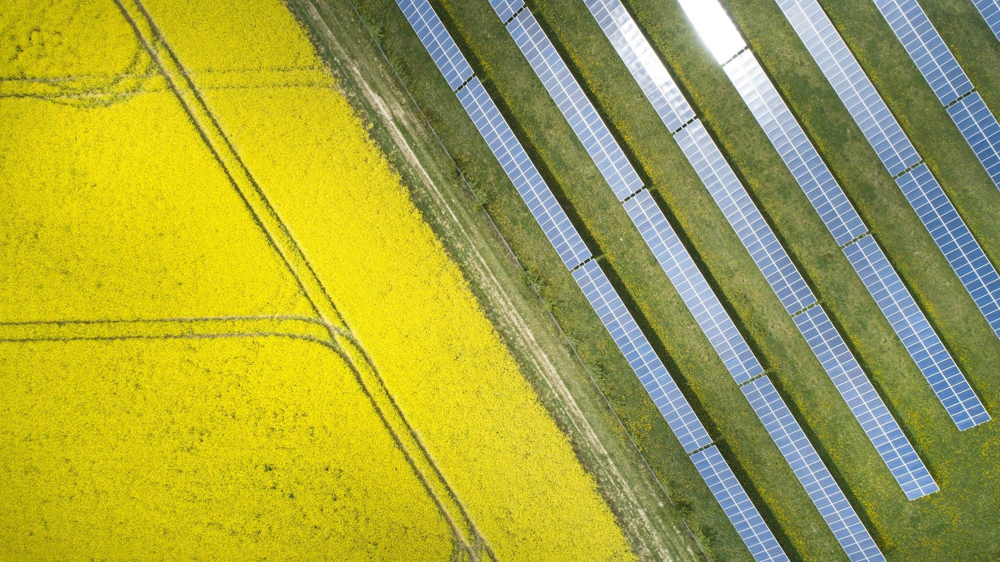 Solceller