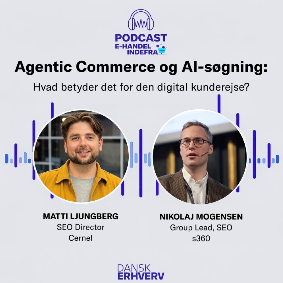 billede fra podcasten