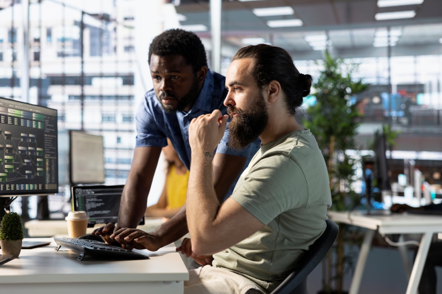 To kollegaer taler foran computer