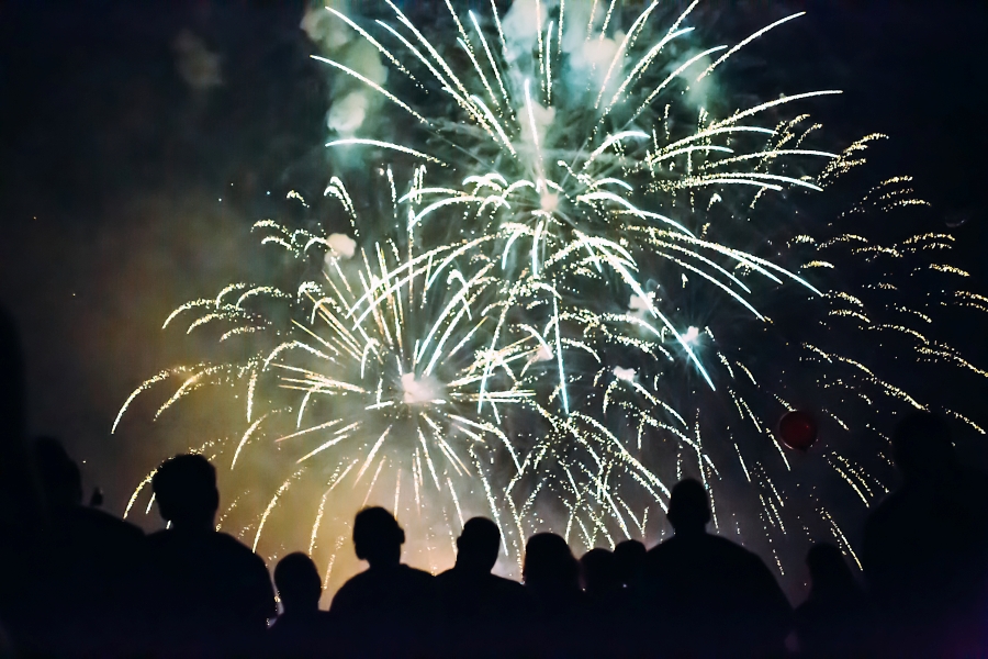 Udsigt over fyrv&aelig;rkeri