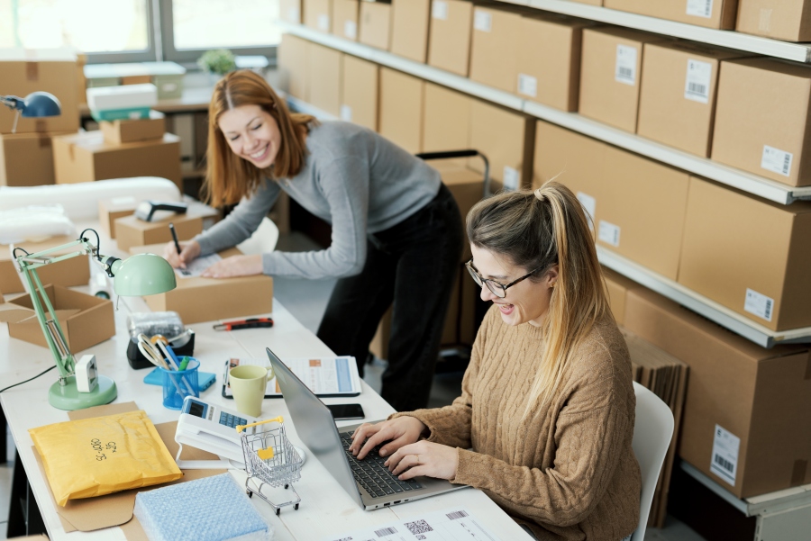 to kvinder i netbutik